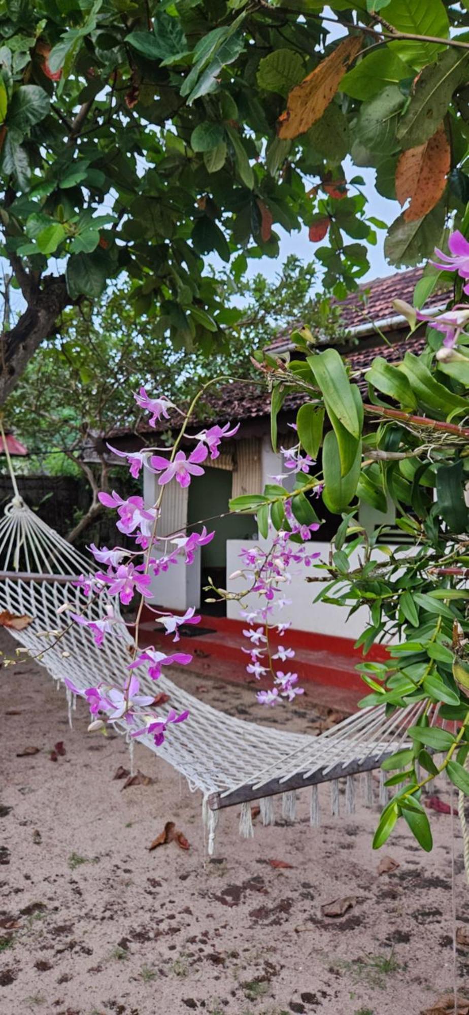 Angeo Beach House Leilighet Alappuzha Eksteriør bilde